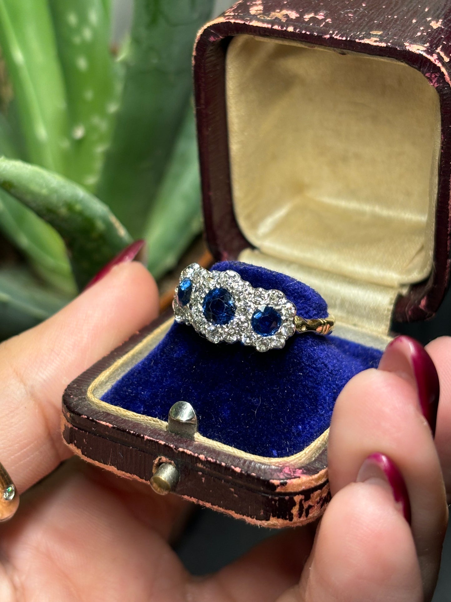 Sapphire and diamond daisy ring set in 18ct gold